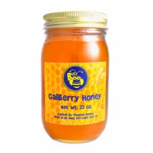 GallBerry Honey